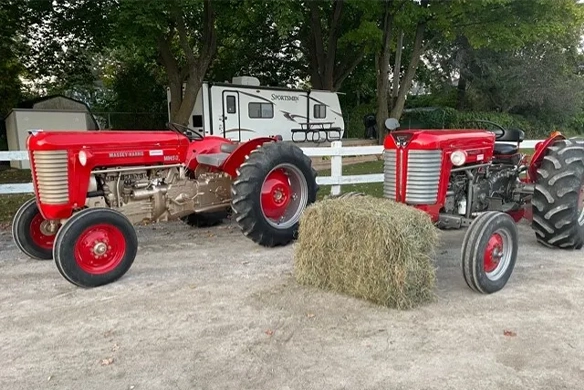 Two restored vintage Massey Ferguson tractors beside a hay bale at W.J. Lambert & Sons